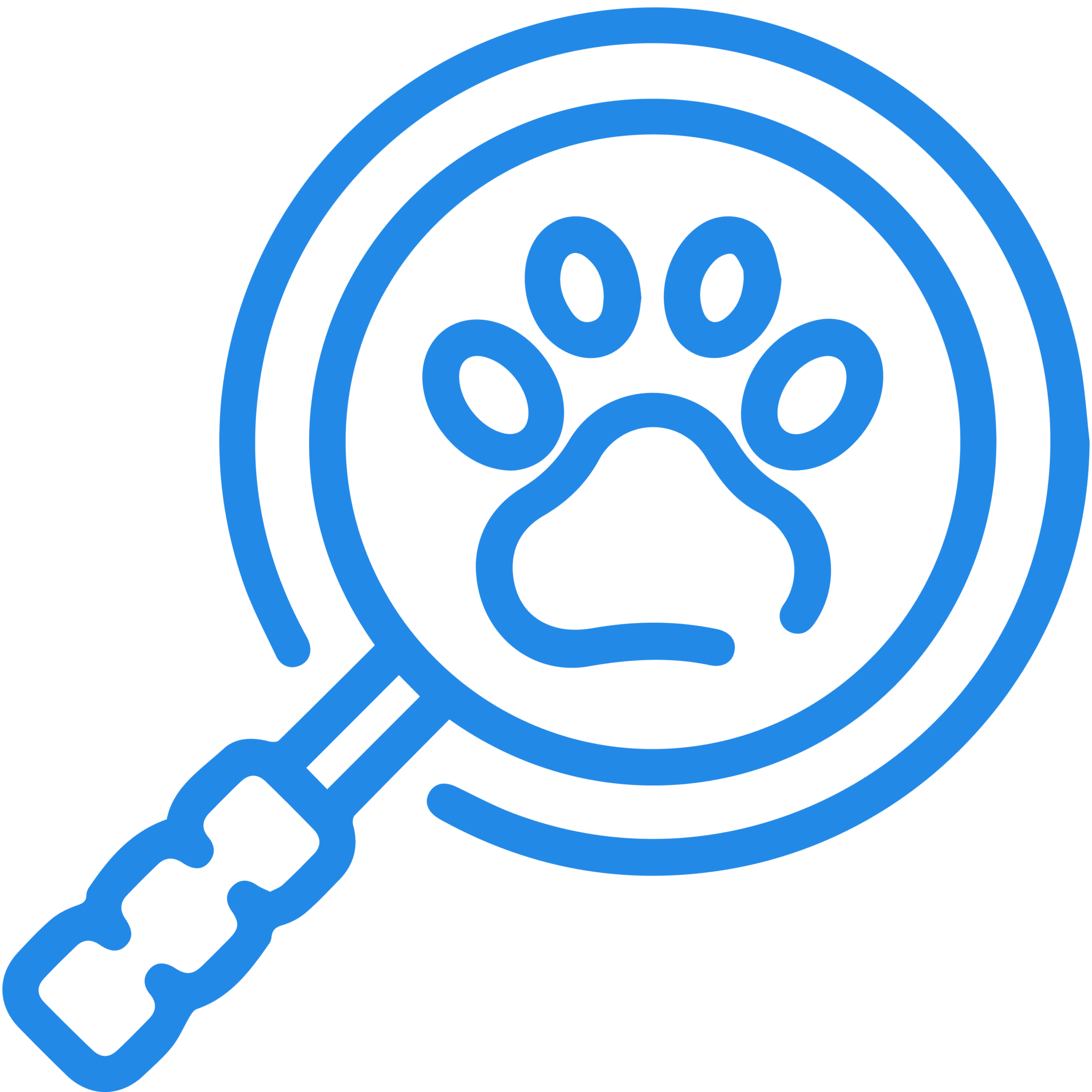 Magnifying Lense Icon