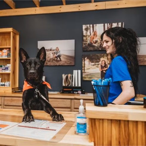 veterinarian with a dog behind the front desk in the lobby