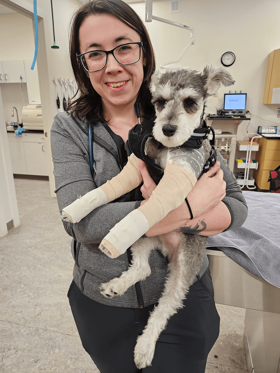 vet holding a dog with casts on both legs