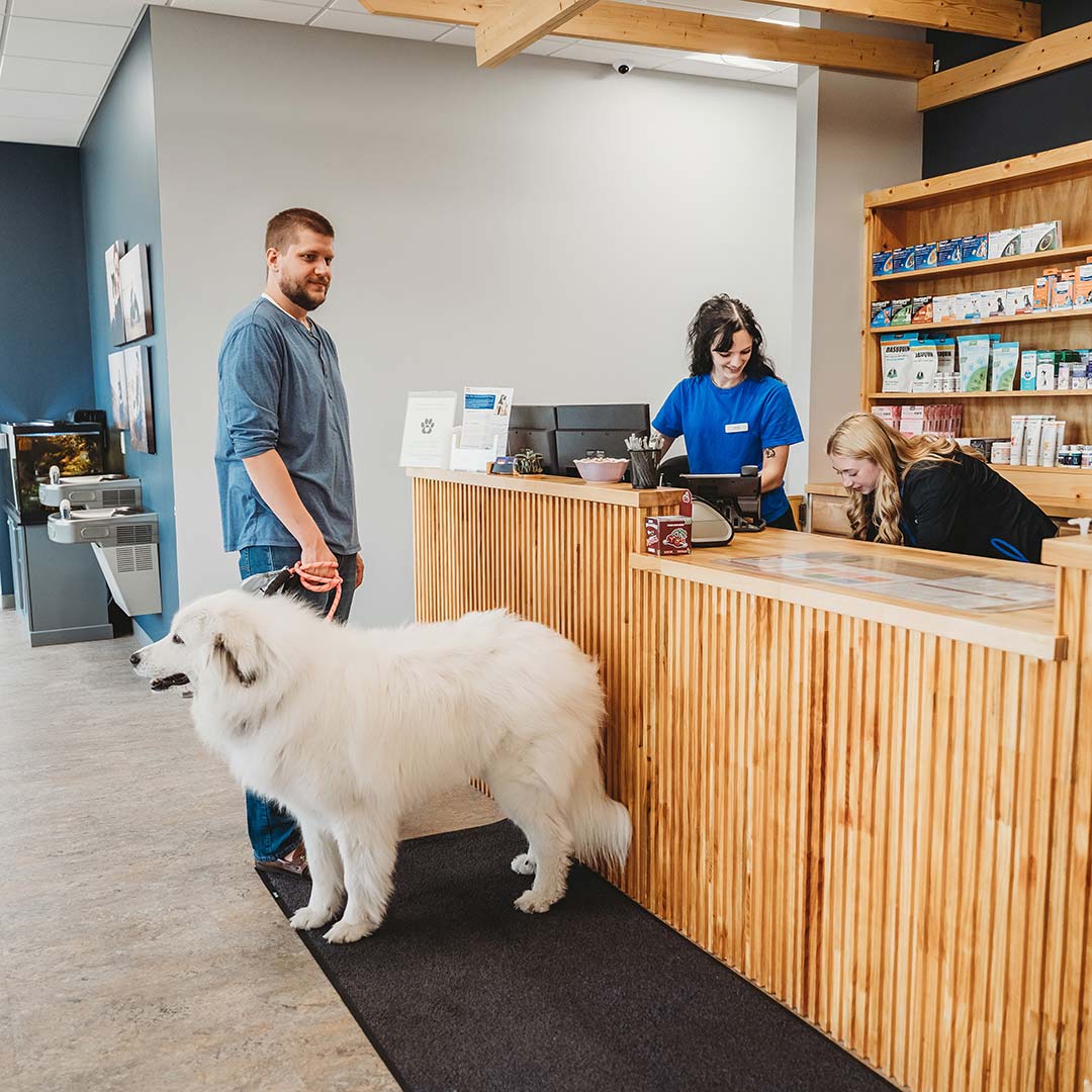 pet owner paying for his dog's appointment at the front desk