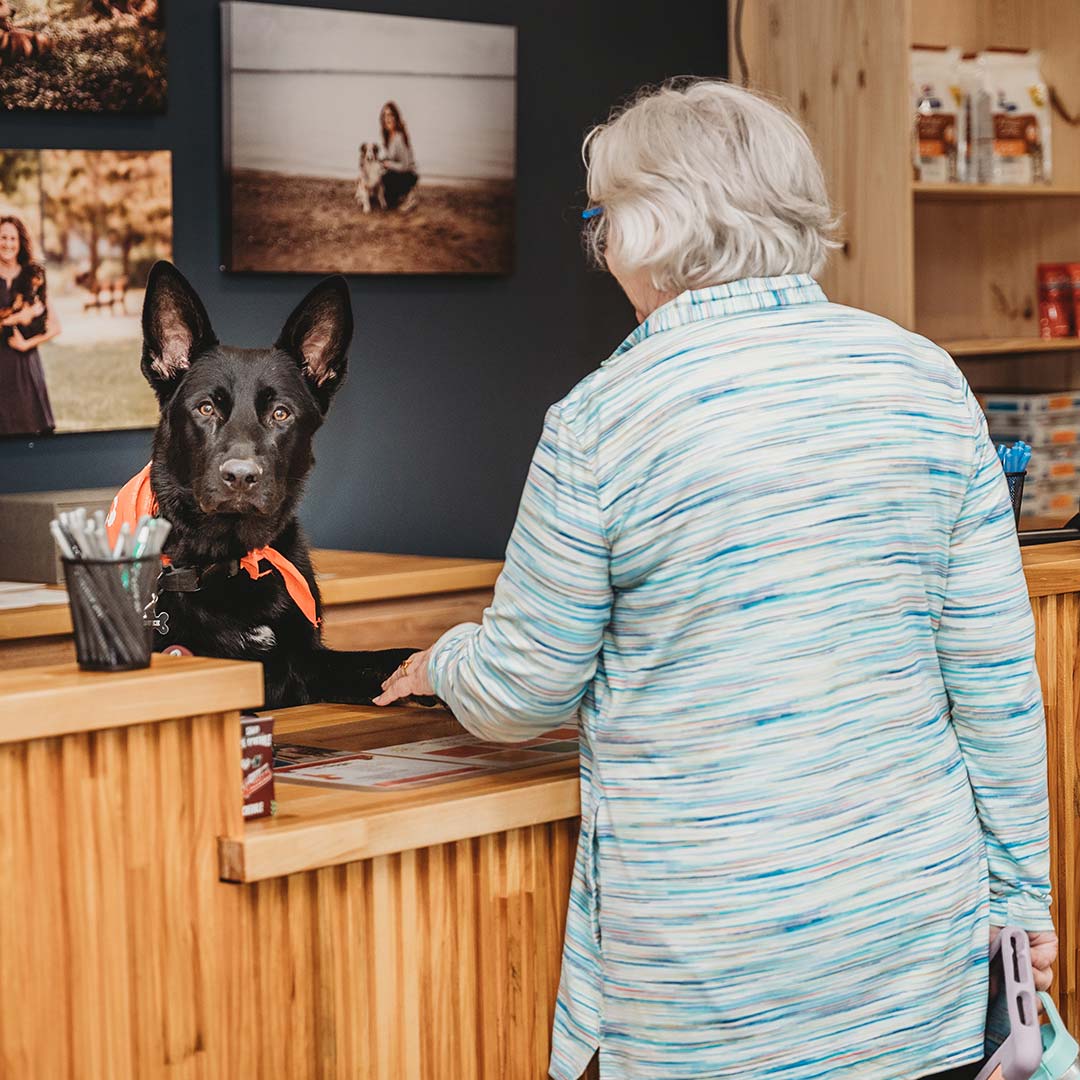 woman at the front lobby with a black dog greeting her behind the desk