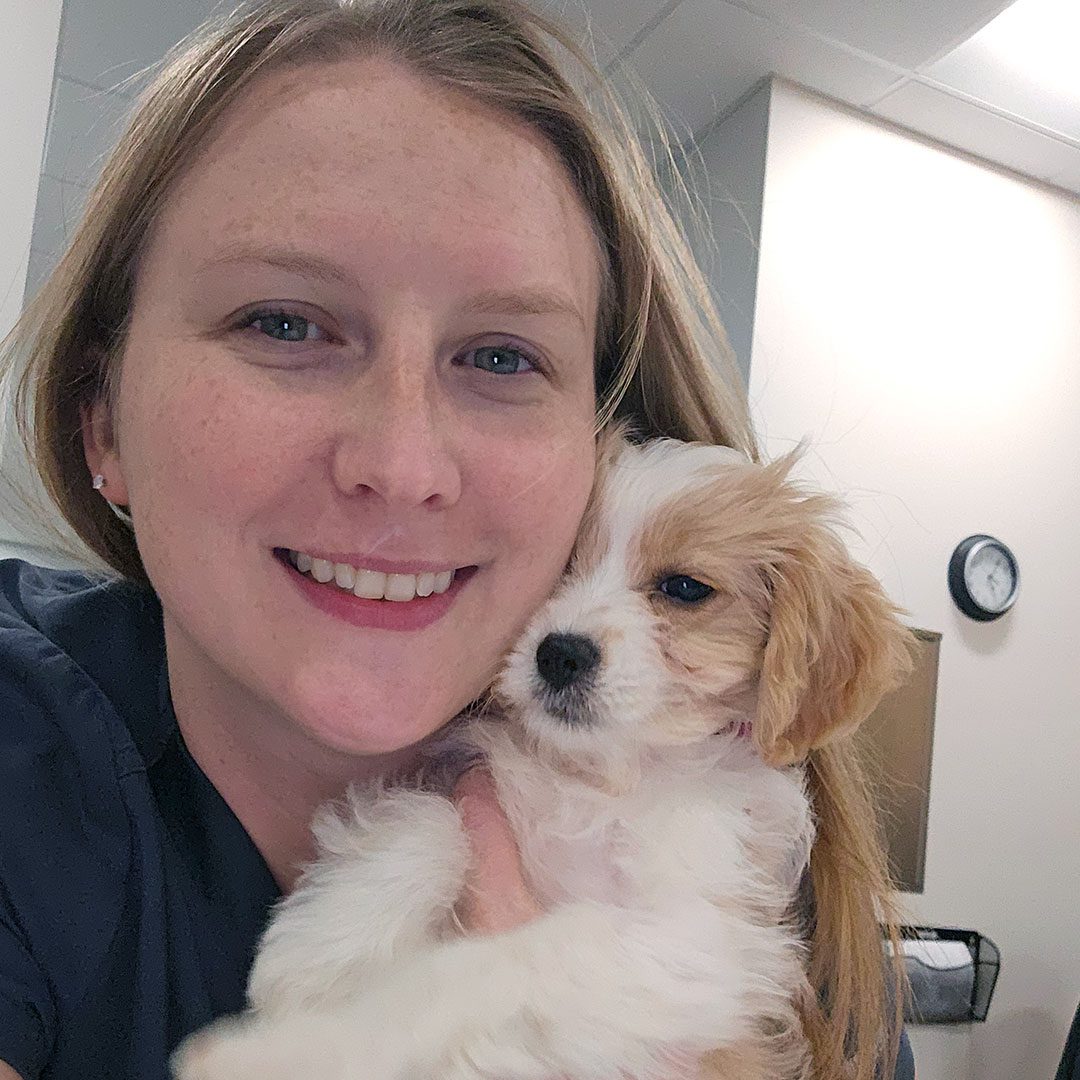 veterinarian hugging small puppy