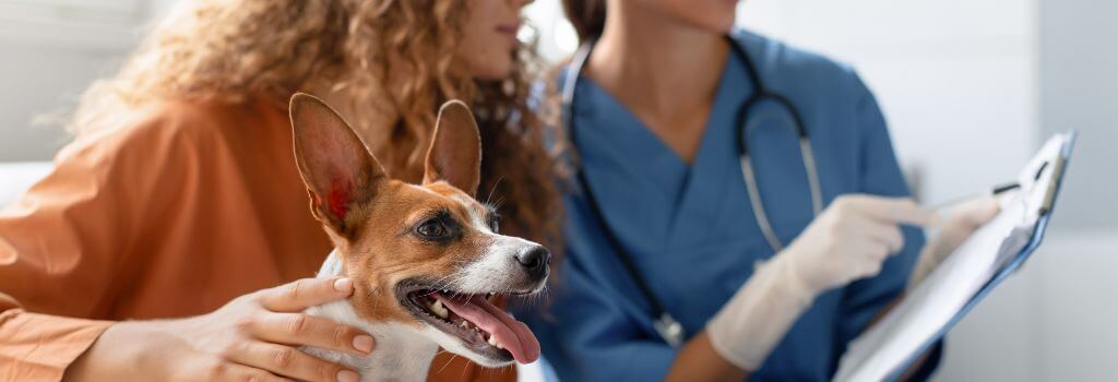 Veterinarian Going Over Test Results With Dog Owner