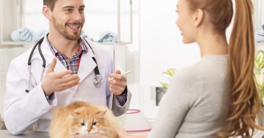 male vet talking with female cat owner during an appointment at the clinic