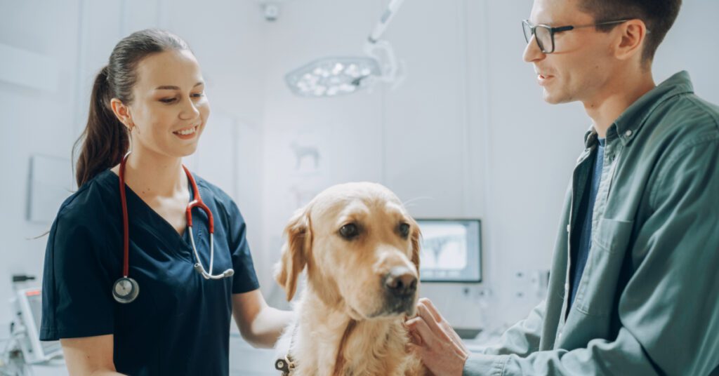 female vet talking with male dog owner during appointment at the clinic