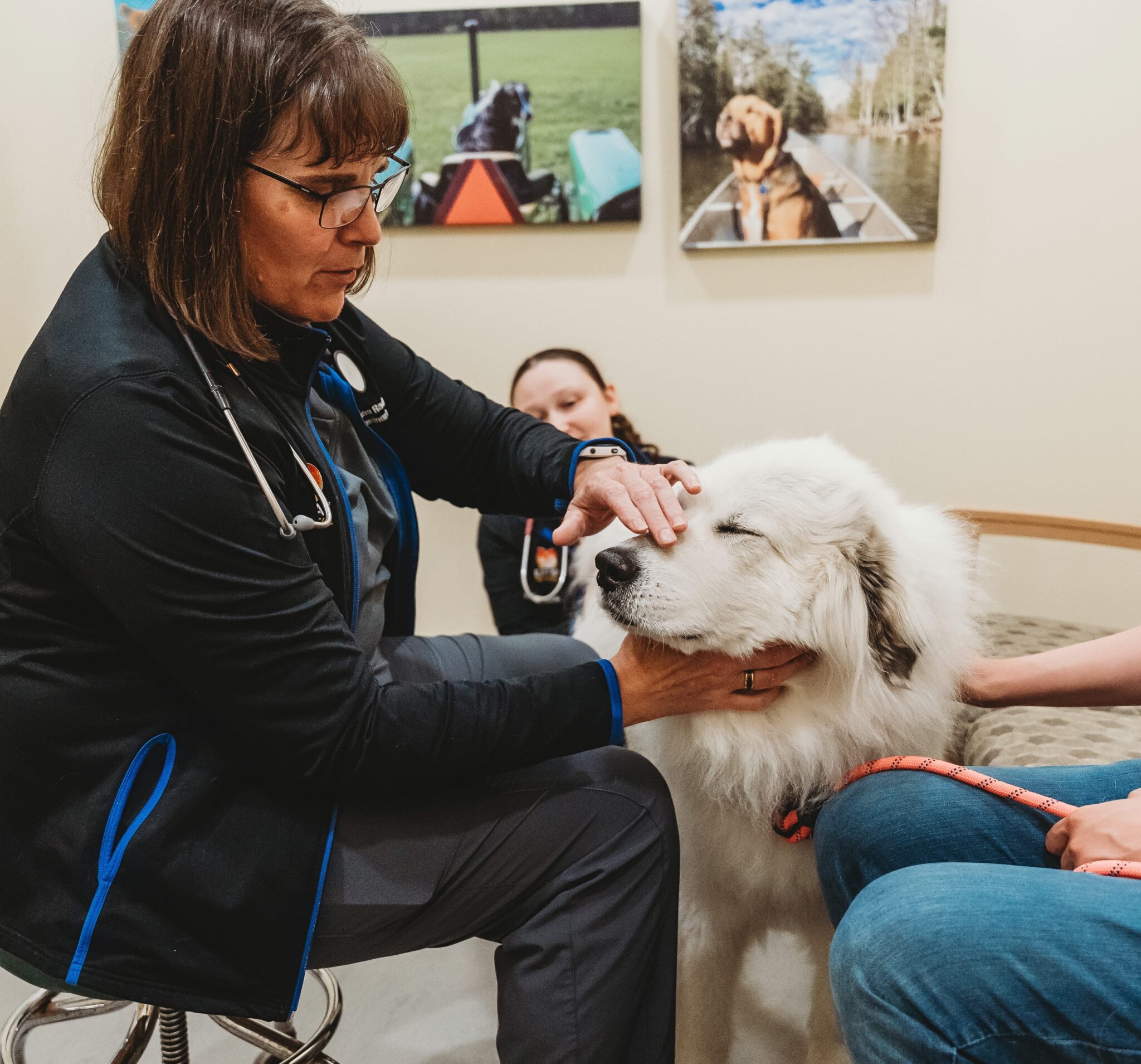 Vet Giving Dental Exam