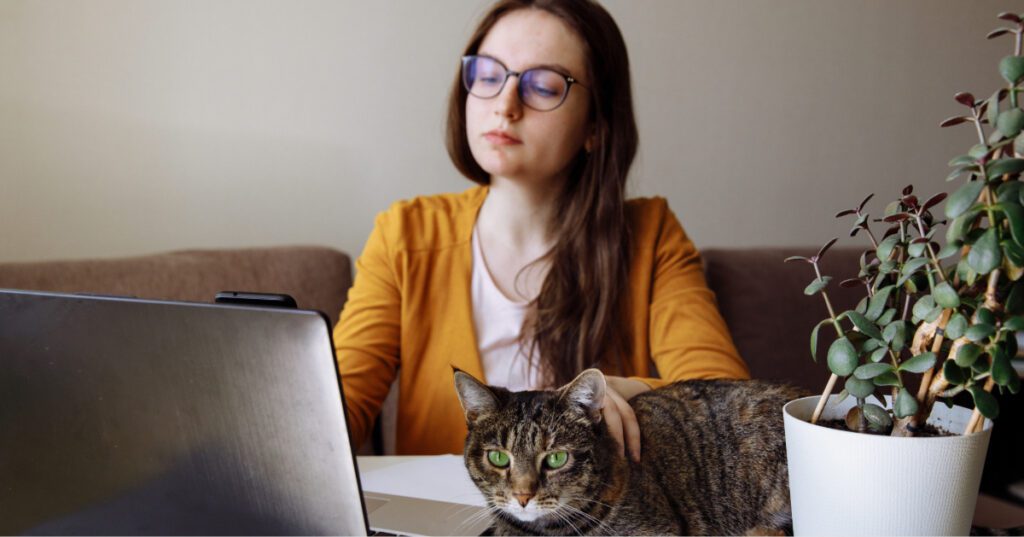 female cat owner searching on computer with cat laying nearby when to spay or neuter a dog or cat
