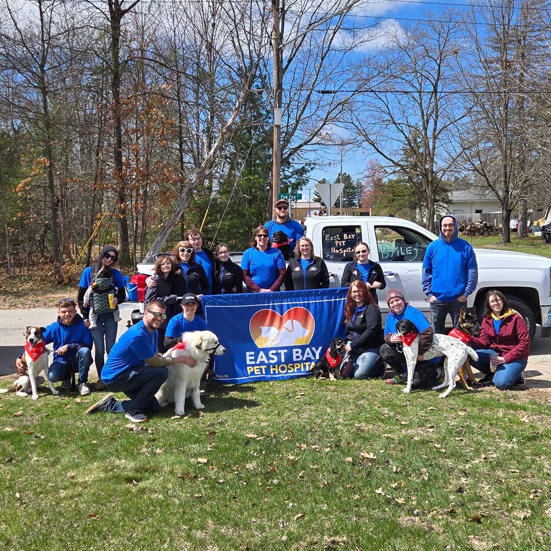 team at a community event