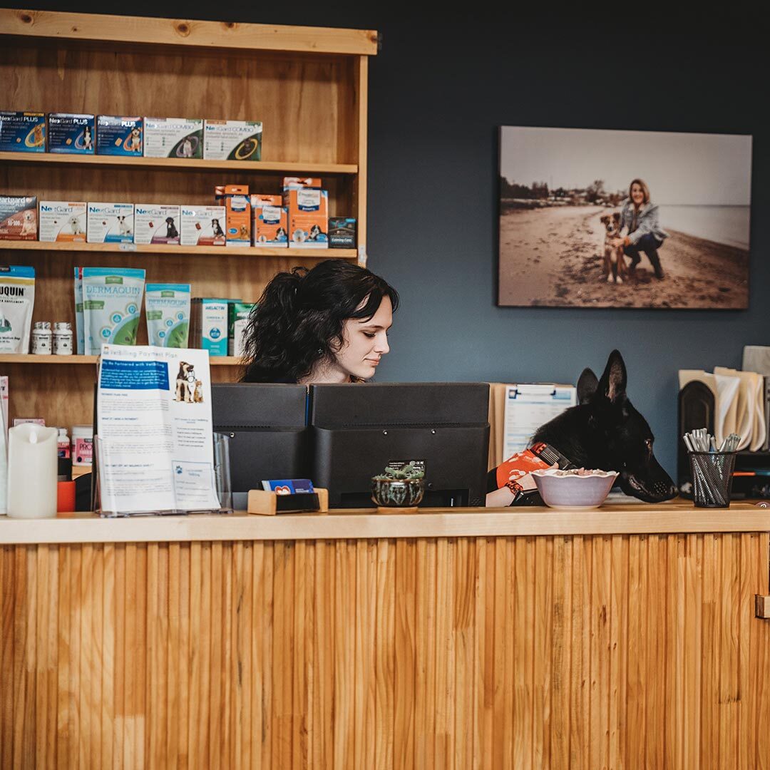 receptionist at the front desk with pharmacy items behind her