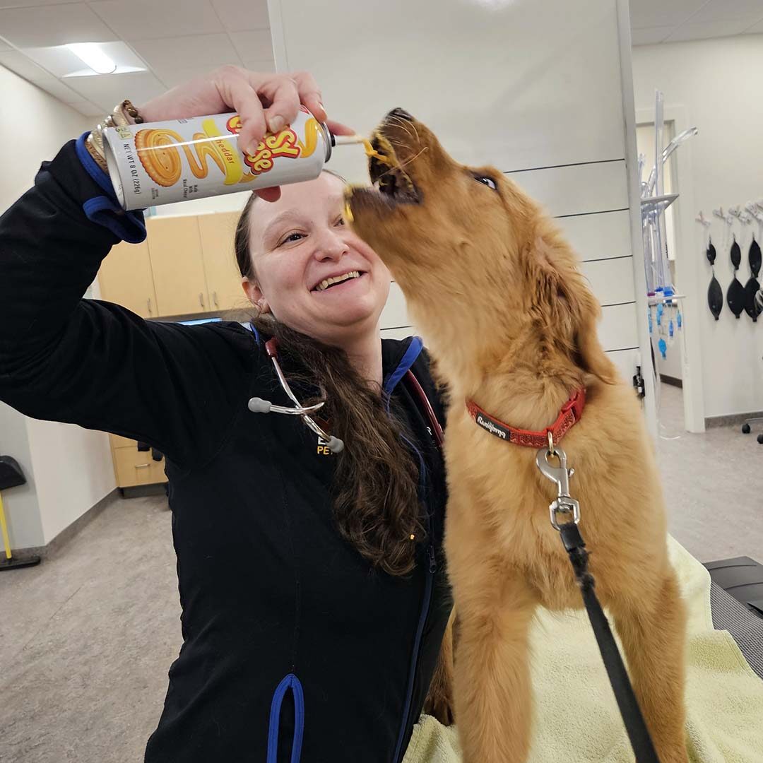 technician spraying cheese into a dog's mouth