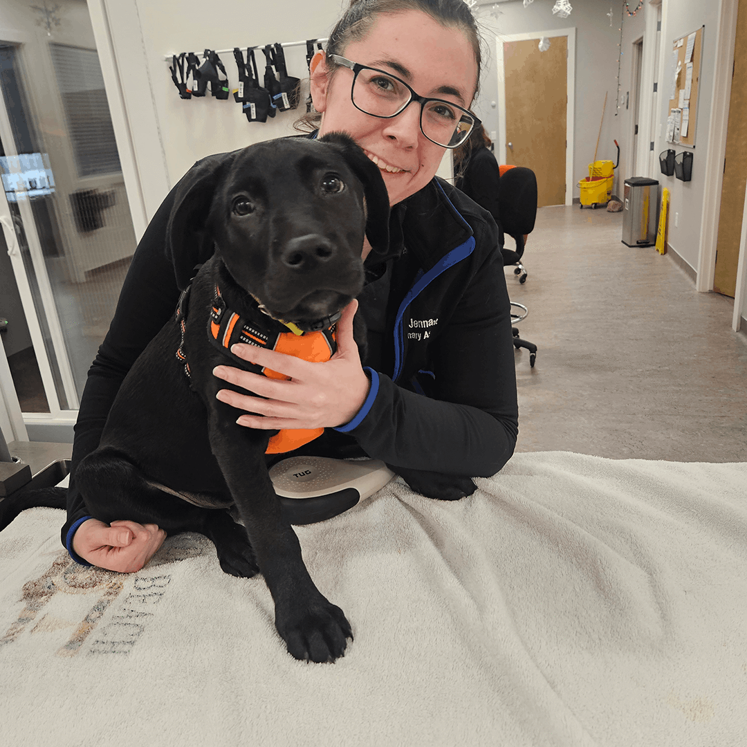 black dog with vet smiling looking at camera